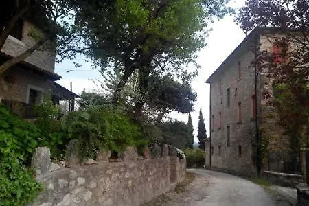 Tenada * Campea